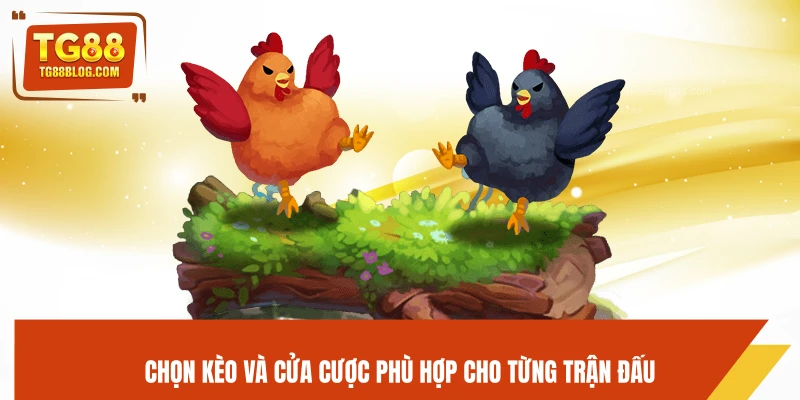 Chọn kèo và cửa cược phù hợp cho từng trận đấu