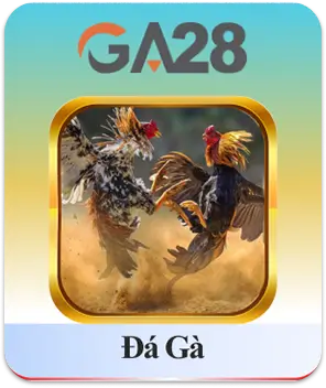 Đá gà