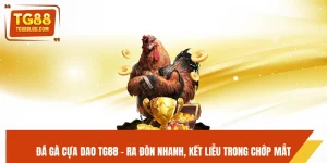 Đá Gà Cựa Dao TG88 - Ra Đòn Nhanh, Kết Liễu Trong Chớp Mắt