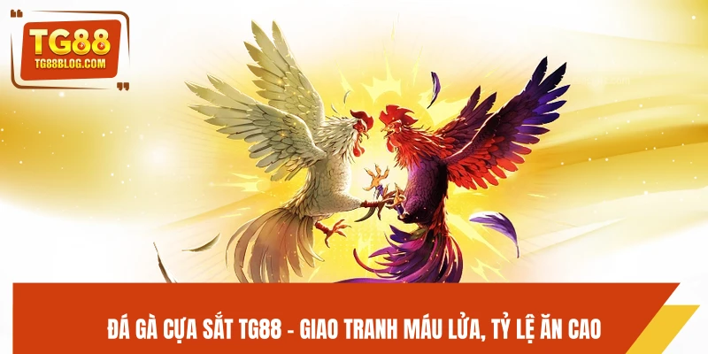 Đá Gà Cựa Sắt TG88 - Giao Tranh Máu Lửa, Tỷ Lệ Ăn Cao