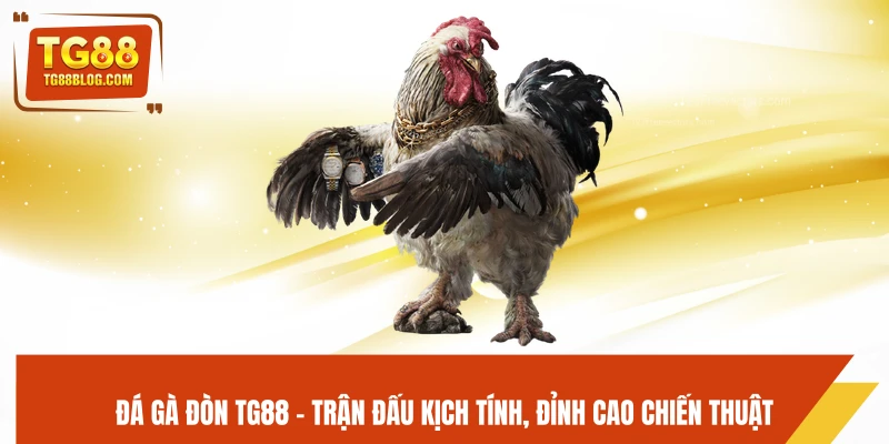 Đá Gà Đòn TG88 - Trận Đấu Kịch Tính, Đỉnh Cao Chiến Thuật