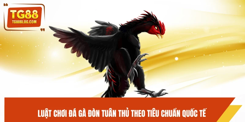 Luật chơi đá gà đòn tuân thủ theo tiêu chuẩn quốc tế