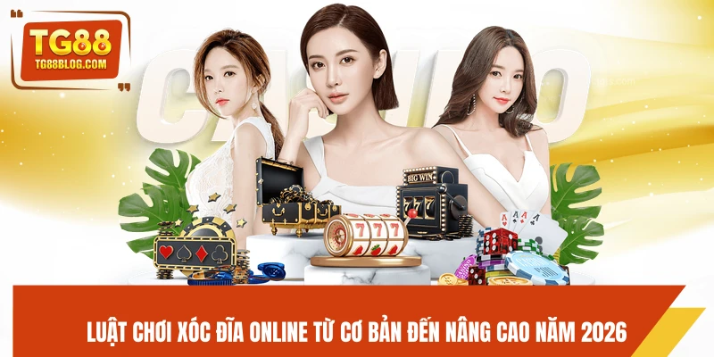 Luật chơi xóc đĩa online từ cơ bản đến nâng cao năm 2026