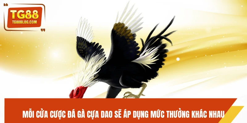 Mỗi cửa cược đá gà cựa dao sẽ áp dụng mức thưởng khác nhau