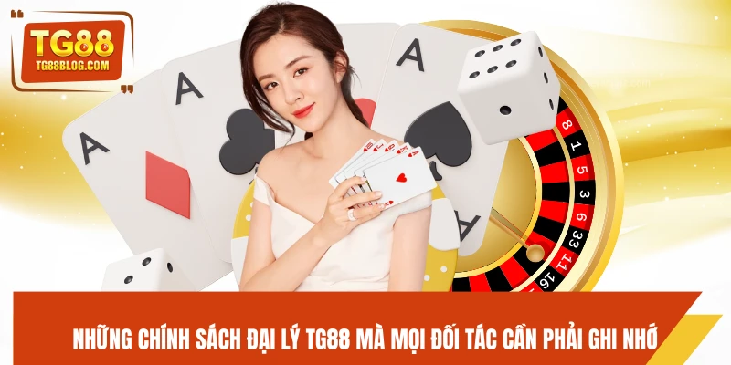 Những chính sách đại lý TG88 mà mọi đối tác cần phải ghi nhớ