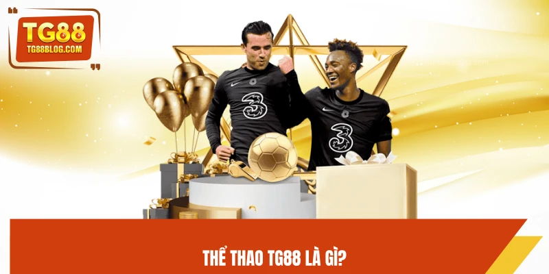 Thể thao TG88 là gì?