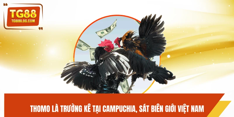 Thomo là trường kê tại Campuchia, sát biên giới Việt Nam