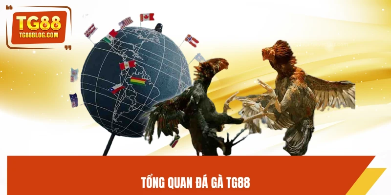 Tổng quan đá gà TG88