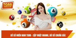 Xổ Số Miền Nam TG88 - Cập Nhật Nhanh, Dò Số Chuẩn Xác